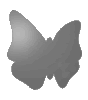 Hochwertige KFZ-Magnetfolie in Schmetterling-Form